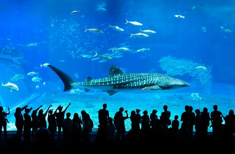 Top 5 Lessons Entrepreneurs Can Learn from Shark Tank Pakistan